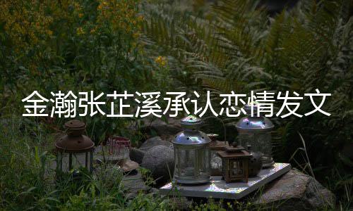 么时溪承溪什一起爱 候在情发 情文示张芷张芷顾认恋金瀚金瀚史回
